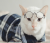 Glasseslit promotional code 5% OFF